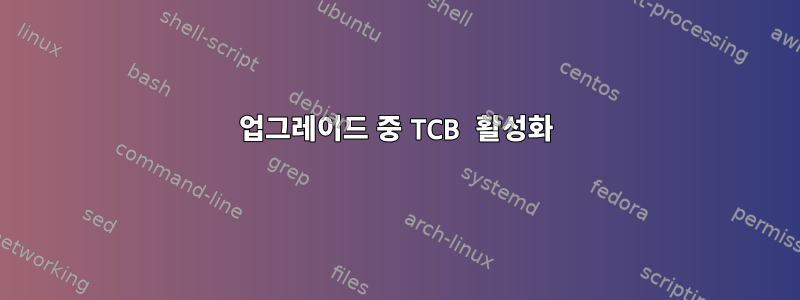 업그레이드 중 TCB 활성화