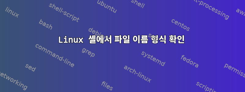 Linux 셸에서 파일 이름 형식 확인