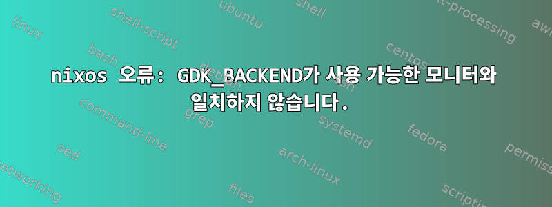 nixos 오류: GDK_BACKEND가 사용 가능한 모니터와 일치하지 않습니다.