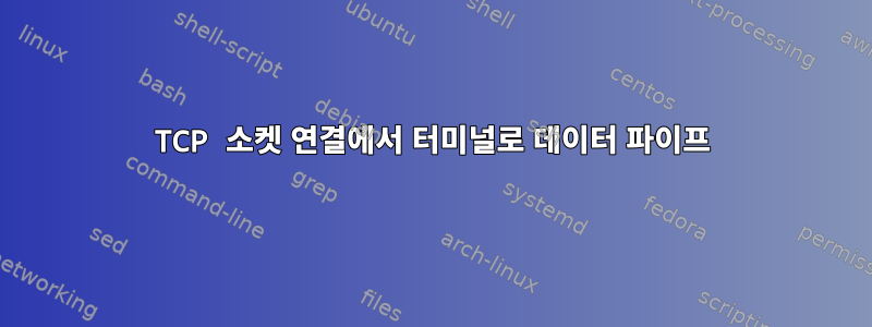 TCP 소켓 연결에서 터미널로 데이터 파이프