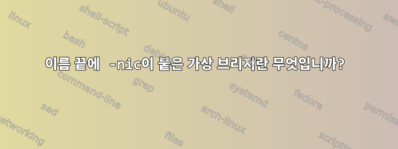 이름 끝에 -nic이 붙은 가상 브리지란 무엇입니까?