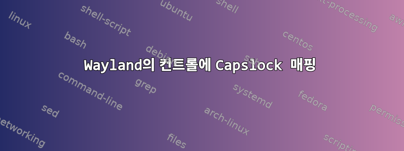 Wayland의 컨트롤에 Capslock 매핑