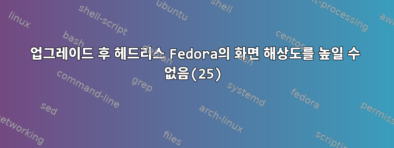 업그레이드 후 헤드리스 Fedora의 화면 해상도를 높일 수 없음(25)