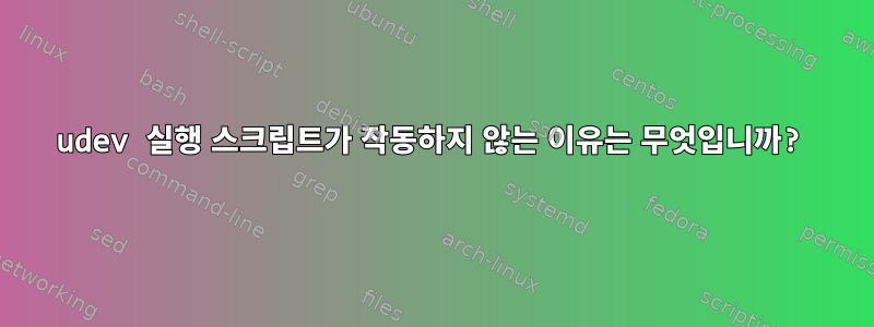 udev 실행 스크립트가 작동하지 않는 이유는 무엇입니까?