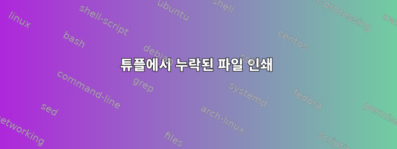 튜플에서 누락된 파일 인쇄