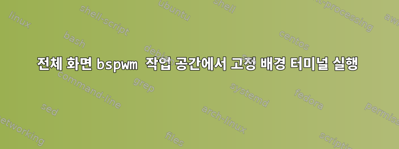 전체 화면 bspwm 작업 공간에서 고정 배경 터미널 실행