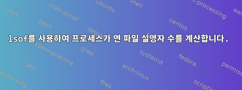 lsof를 사용하여 프로세스가 연 파일 설명자 수를 계산합니다.