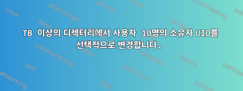 10TB 이상의 디렉터리에서 사용자 10명의 소유자 UID를 선택적으로 변경합니다.