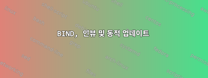 BIND, 인뷰 및 동적 업데이트