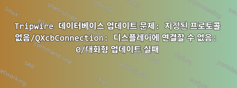 Tripwire 데이터베이스 업데이트 문제: 지정된 프로토콜 없음/QXcbConnection: 디스플레이에 연결할 수 없음: 0/대화형 업데이트 실패