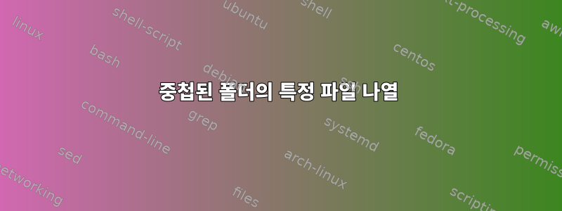 중첩된 폴더의 특정 파일 나열