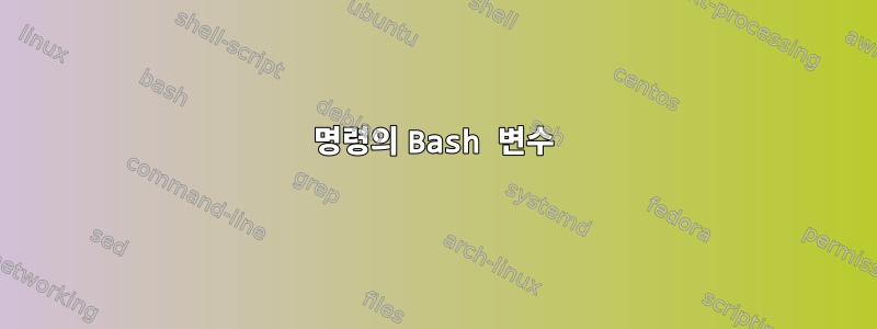 명령의 Bash 변수