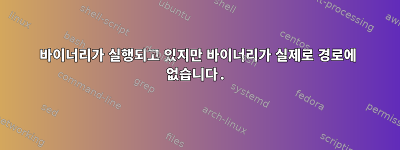 바이너리가 실행되고 있지만 바이너리가 실제로 경로에 없습니다.