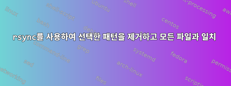 rsync를 사용하여 선택한 패턴을 제거하고 모든 파일과 일치