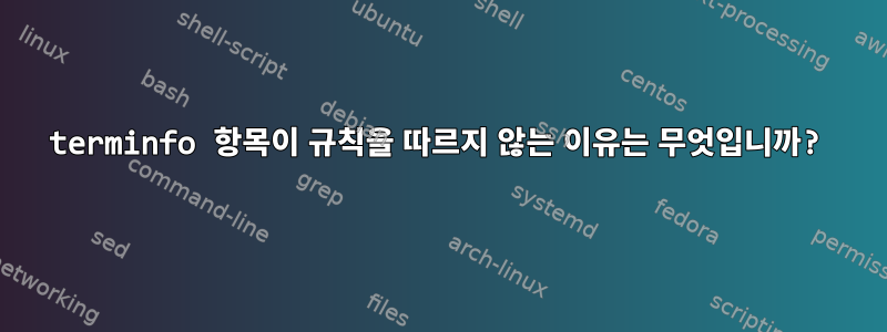 terminfo 항목이 규칙을 따르지 않는 이유는 무엇입니까?