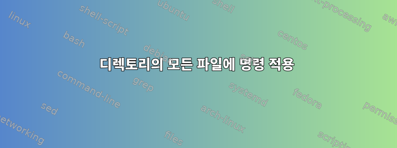 디렉토리의 모든 파일에 명령 적용