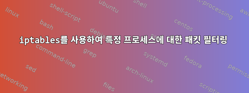 iptables를 사용하여 특정 프로세스에 대한 패킷 필터링