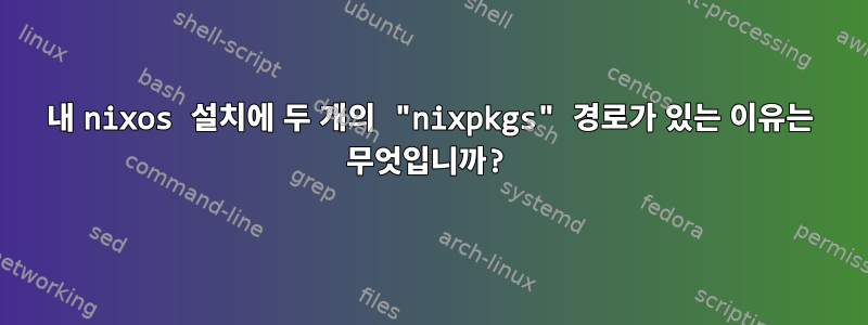 내 nixos 설치에 두 개의 "nixpkgs" 경로가 있는 이유는 무엇입니까?