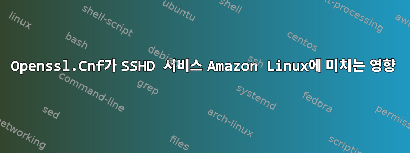 Openssl.Cnf가 SSHD 서비스 Amazon Linux에 미치는 영향