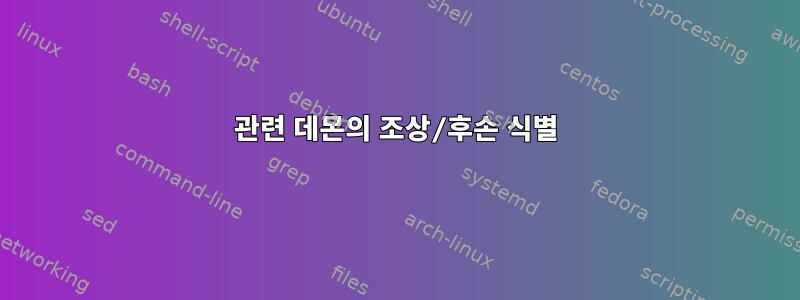 관련 데몬의 조상/후손 식별