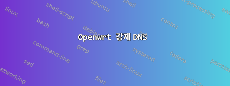 Openwrt 강제 DNS