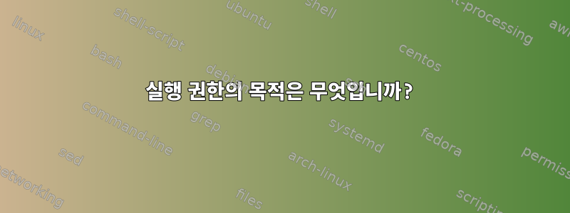 실행 권한의 목적은 무엇입니까?