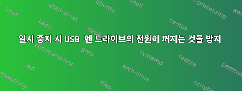 일시 중지 시 USB 펜 드라이브의 전원이 꺼지는 것을 방지