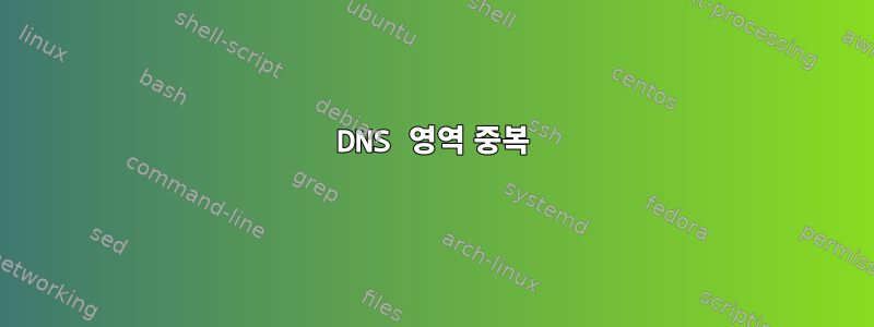 DNS 영역 중복