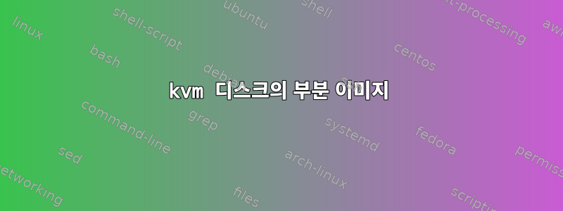 kvm 디스크의 부분 이미지