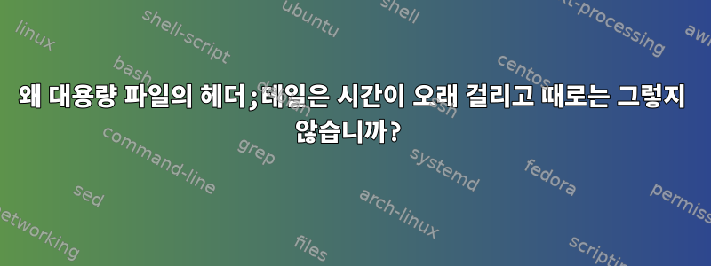 왜 대용량 파일의 헤더;테일은 시간이 오래 걸리고 때로는 그렇지 않습니까?