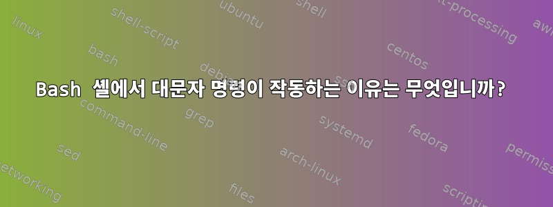 Bash 셸에서 대문자 명령이 작동하는 이유는 무엇입니까?