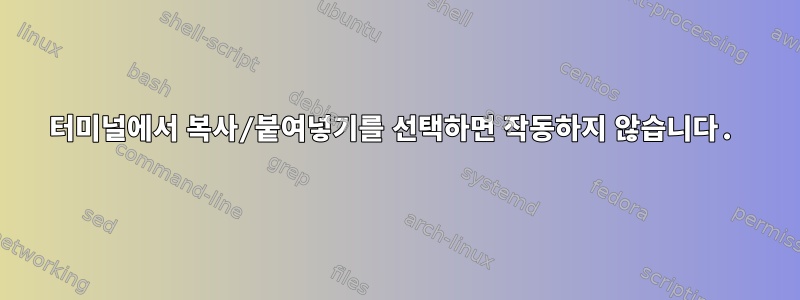 터미널에서 복사/붙여넣기를 선택하면 작동하지 않습니다.