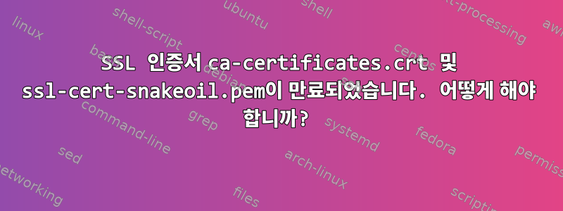 SSL 인증서 ca-certificates.crt 및 ssl-cert-snakeoil.pem이 만료되었습니다. 어떻게 해야 합니까?