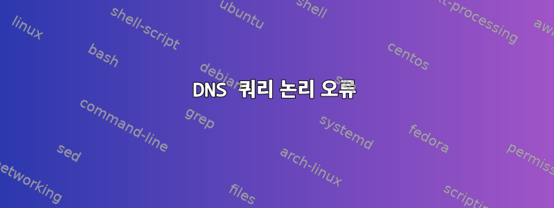 DNS 쿼리 논리 오류