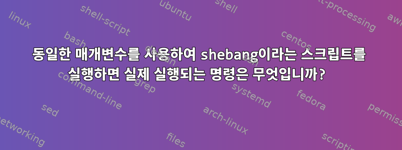 동일한 매개변수를 사용하여 shebang이라는 스크립트를 실행하면 실제 실행되는 명령은 무엇입니까?