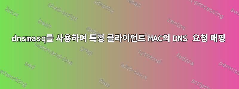 dnsmasq를 사용하여 특정 클라이언트 MAC의 DNS 요청 매핑