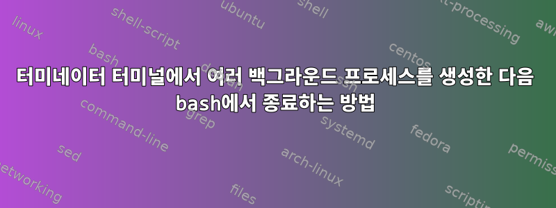 터미네이터 터미널에서 여러 백그라운드 프로세스를 생성한 다음 bash에서 종료하는 방법