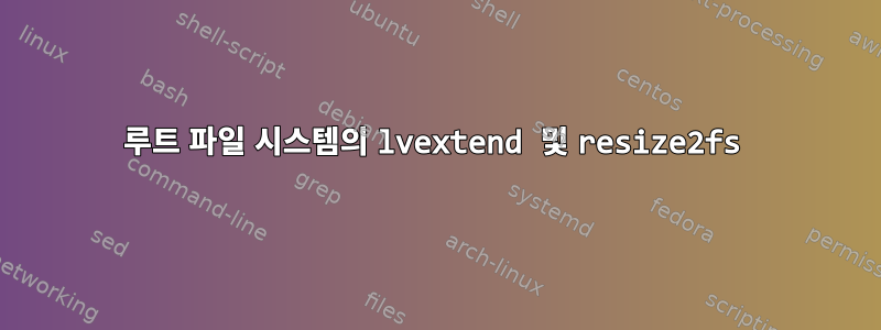 루트 파일 시스템의 lvextend 및 resize2fs