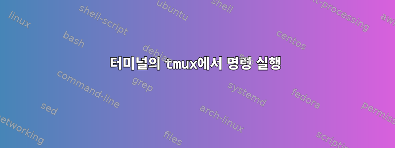 터미널의 tmux에서 명령 실행