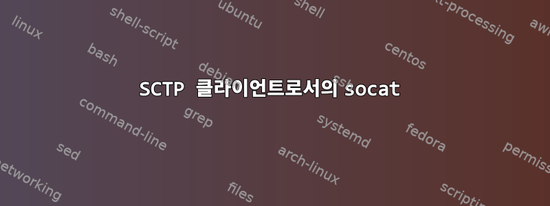 SCTP 클라이언트로서의 socat