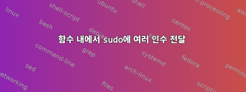 함수 내에서 sudo에 여러 인수 전달