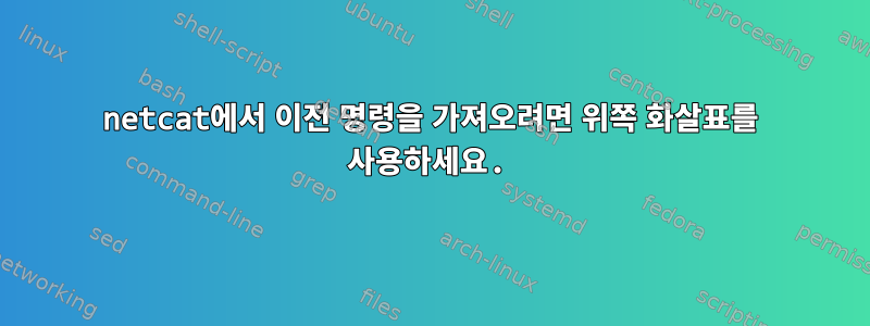 netcat에서 이전 명령을 가져오려면 위쪽 화살표를 사용하세요.