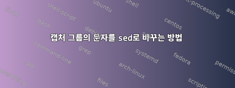 캡처 그룹의 문자를 sed로 바꾸는 방법