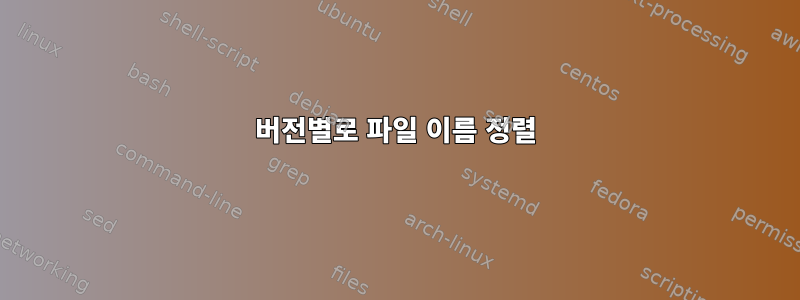 버전별로 파일 이름 정렬