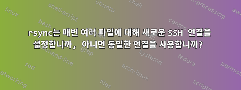 rsync는 매번 여러 파일에 대해 새로운 SSH 연결을 설정합니까, 아니면 동일한 연결을 사용합니까?