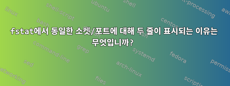 fstat에서 동일한 소켓/포트에 대해 두 줄이 표시되는 이유는 무엇입니까?