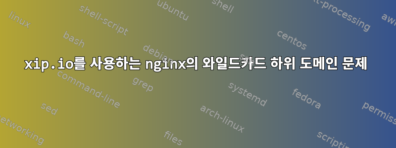 xip.io를 사용하는 nginx의 와일드카드 하위 도메인 문제