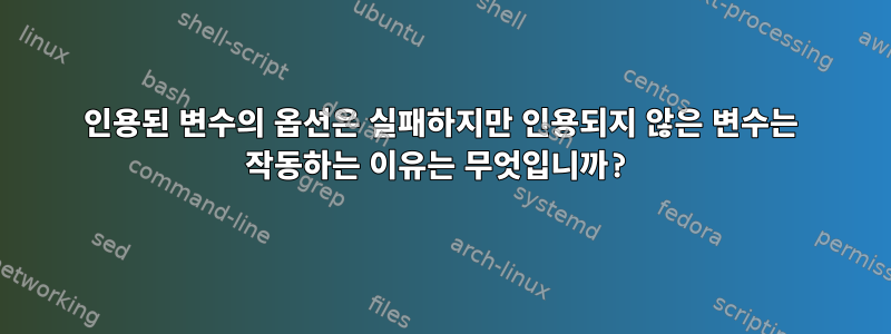 인용된 변수의 옵션은 실패하지만 인용되지 않은 변수는 작동하는 이유는 무엇입니까?