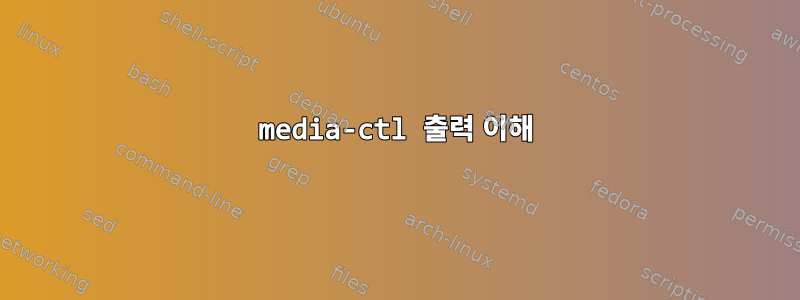 media-ctl 출력 이해