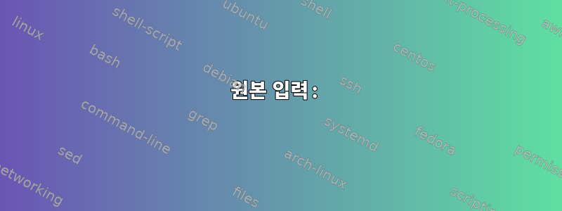 원본 입력: